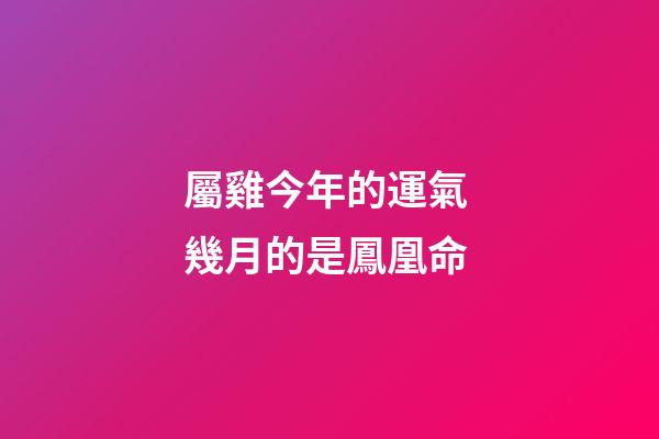 屬雞今年的運氣 幾月的是鳳凰命